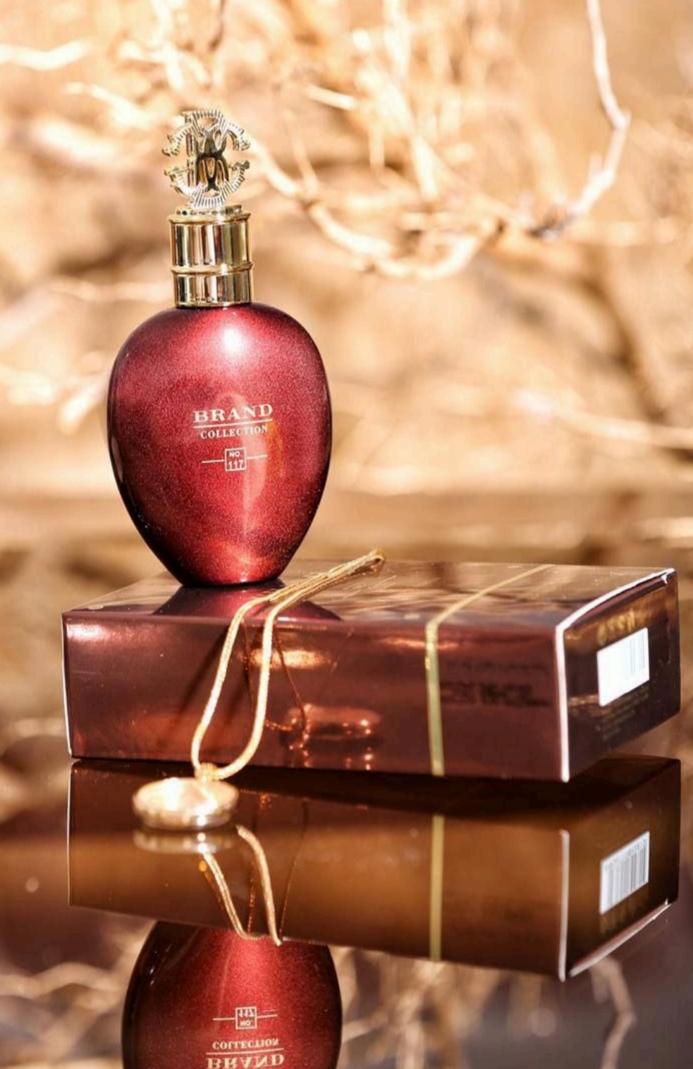 عطر ادکلن روبرتو کاوالی تایگر عود برند کالکشن کد 117 (Roberto Cavalli Tiger Oud) حجم 25 میل Brand collection no.117 roberto cavalli tiger oud