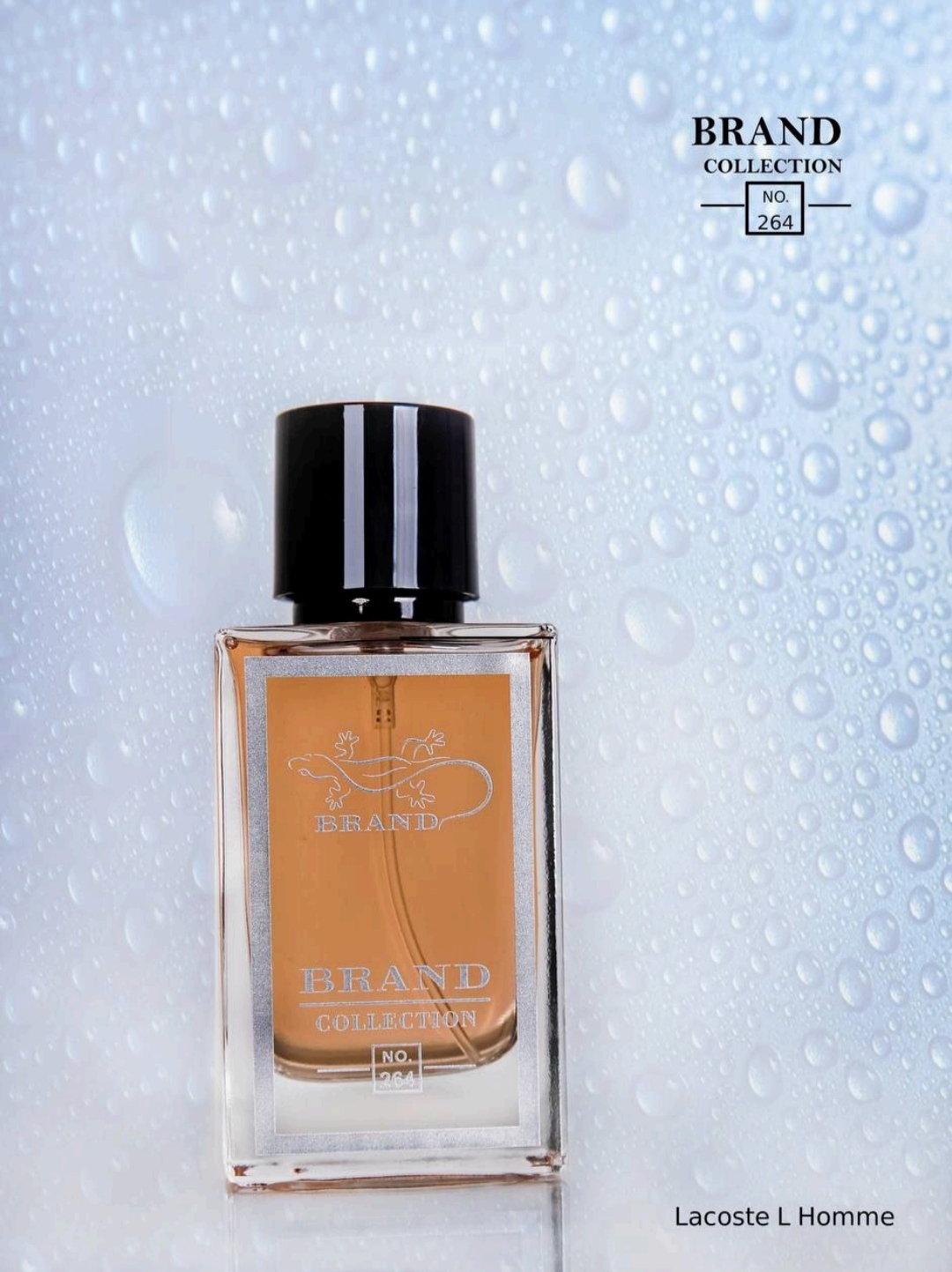 عطر ادکلن مردانه لاگوست لهوم برند کالکشن کد 264 (Brand Collection Lacoste LHomme) حجم 25 میل Brand collection no.264 - Lacoste LHomme